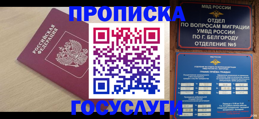 прописка законно в Моршанске